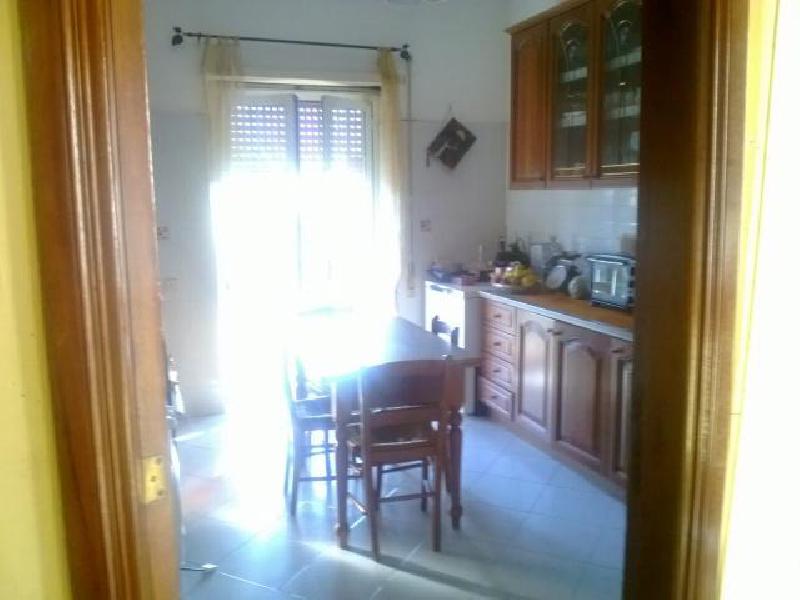 Appartamento via eugenio cecconi  - foto 5