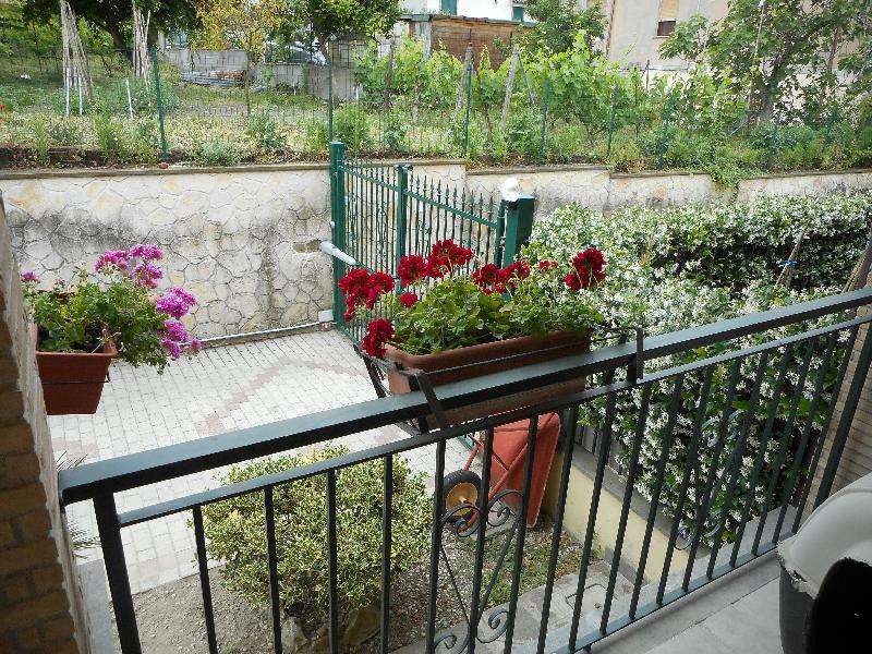 Villa ARANOVA  - foto 7