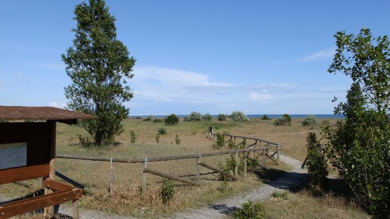 Appartamento Riviera San Nicolò, 13/b  - foto 3
