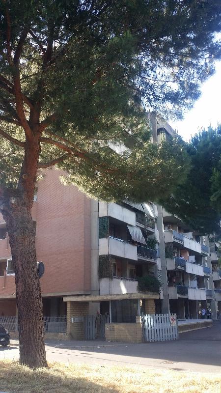 Appartamento in Affitto a Roma via pagoda bianca