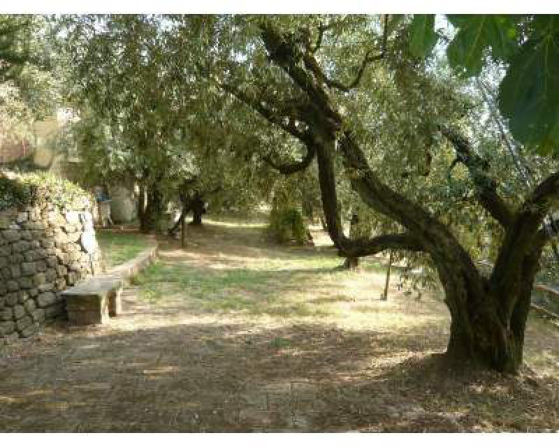 Appartamento piazza Mazzinghi, 15 VITOLINI 