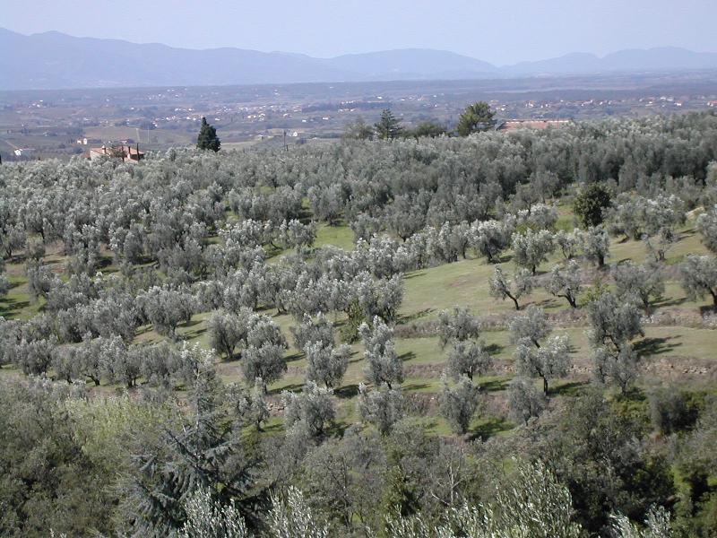Appartamento piazza Mazzinghi, 15  - foto 6