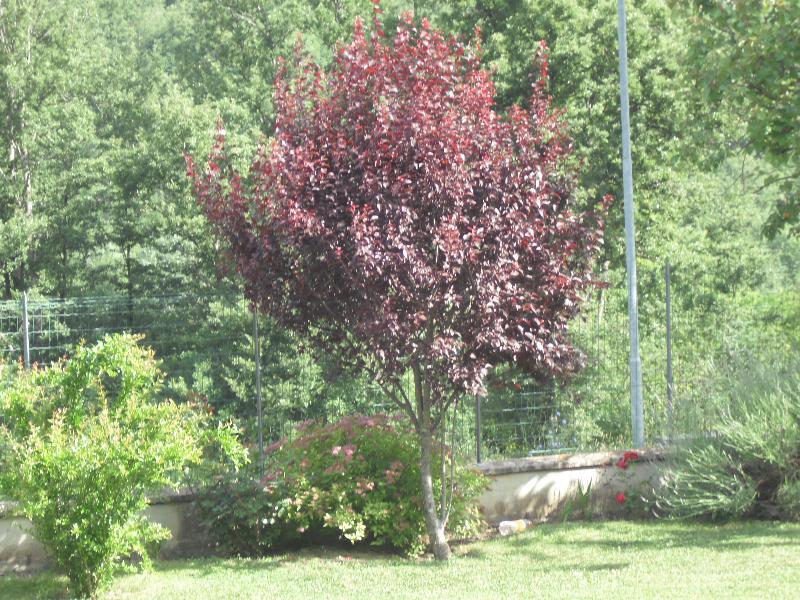 Baita Chalet frazione Giarola di Ligoncghio nr.19 42039 Reggio Emilia  - foto 10