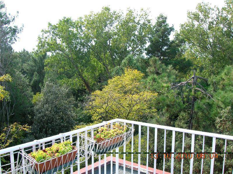 Appartamento Grado Pineta  - foto 10