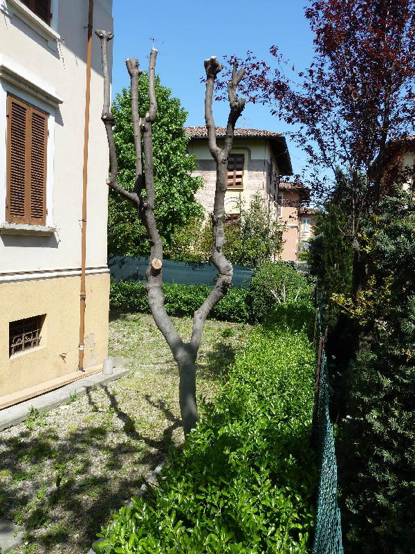 Porzione di casa via Ugo da carpi  - foto 3