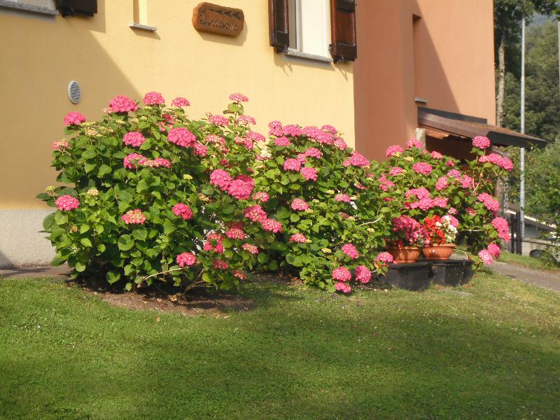 Casa singola frazione Giarola di Ligoncghio nr.19 42039 Reggio Emilia  - foto 20