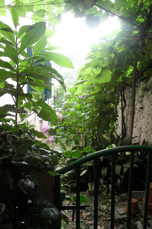 Appartamento Via al garbo  - foto 9