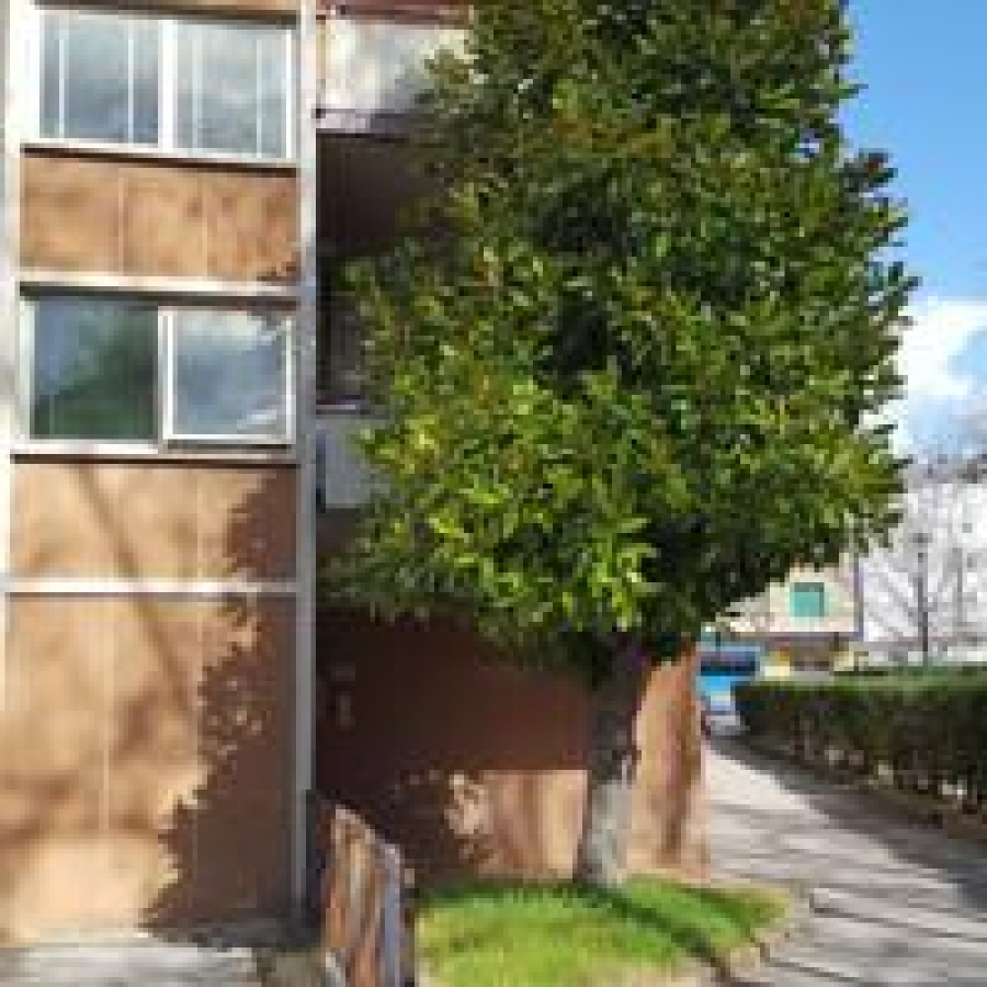 Bed & Breakfast VIA FRANCESCO BARACCA 135  - foto 5