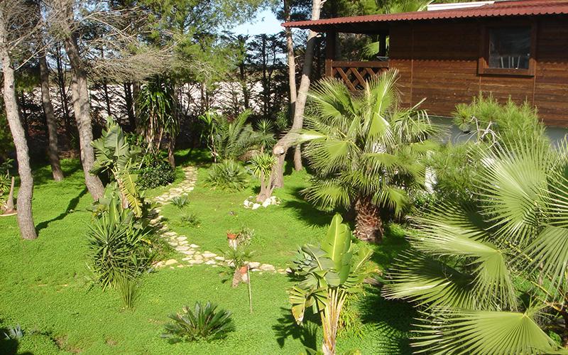 Villa  - foto 3