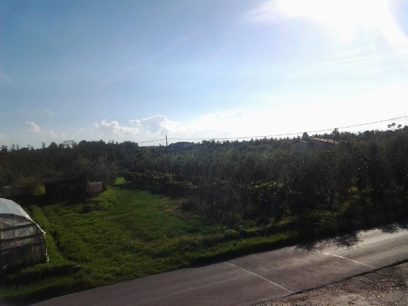 Appartamento via melone  - foto 4