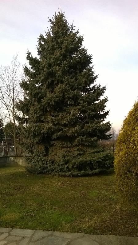 Appartamento via Ellena 10  - foto 3
