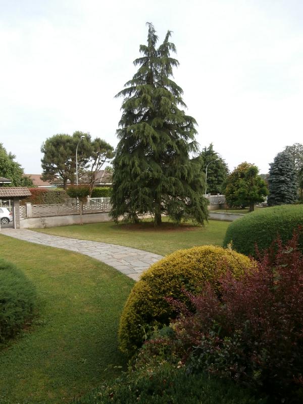 Villa Da Vinci  - foto 22