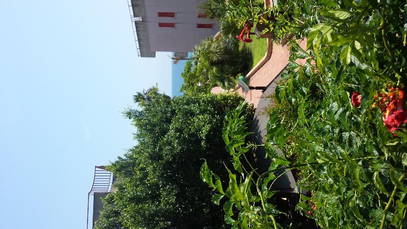 Appartamento Via Marina, Calalunga  - foto 8
