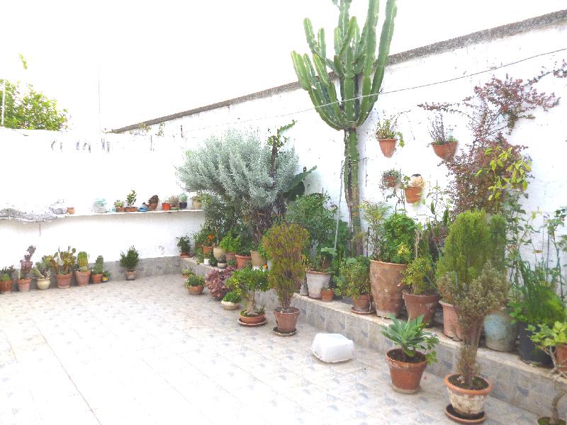 Casa singola Via Egnatia  - foto 2