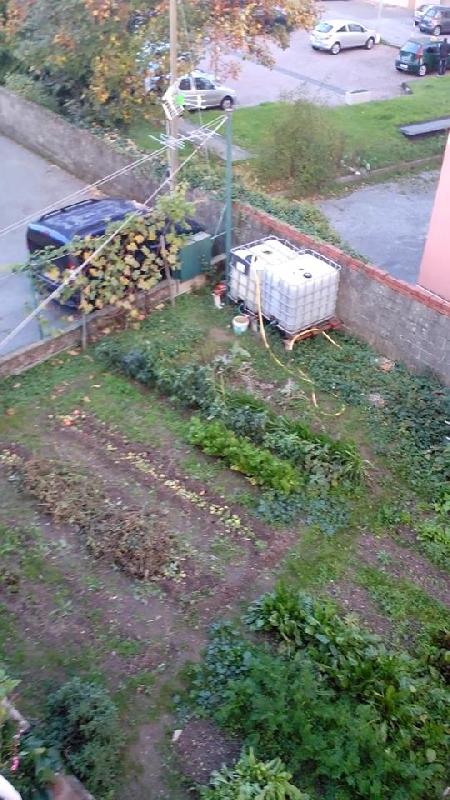Appartamento snc  - foto 7