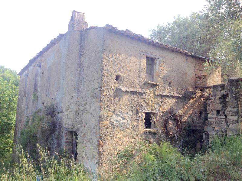 Terreno agricolo Vigne di Calopezzati  - foto 3