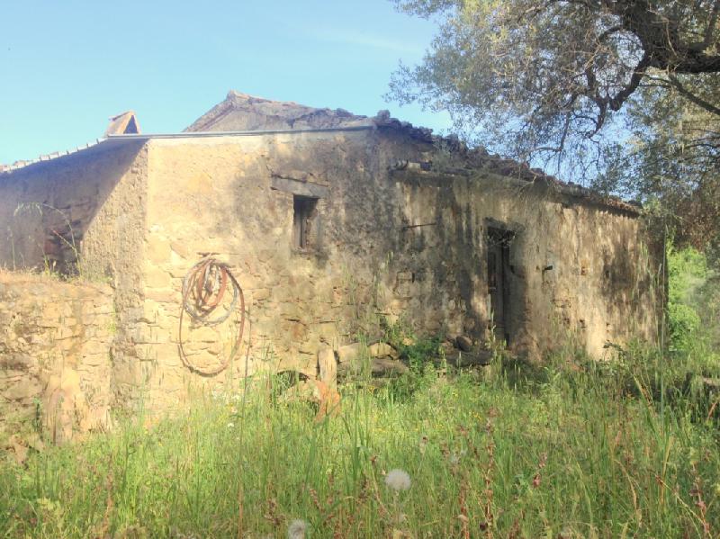 Terreno agricolo Vigne di Calopezzati  - foto 4