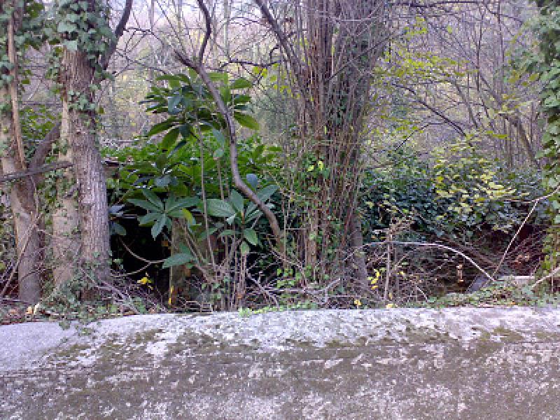 Laboratorio via pian del mulino GE Piccarello  - foto 2