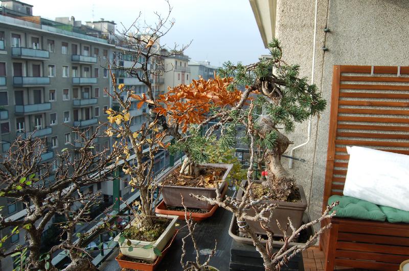 Appartamento Via Marcantonio Colonna 10 