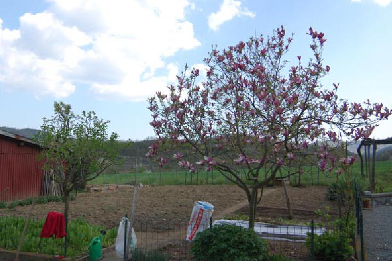 Casa singola  - foto 4