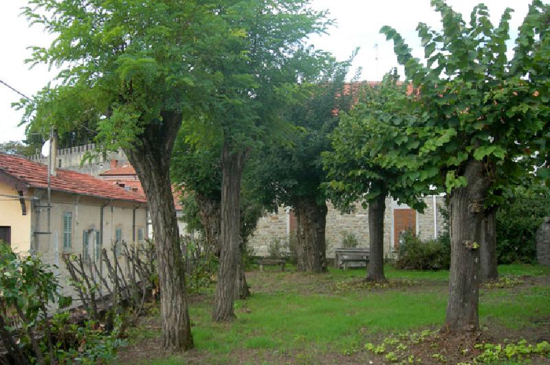 Casa singola  - foto 7