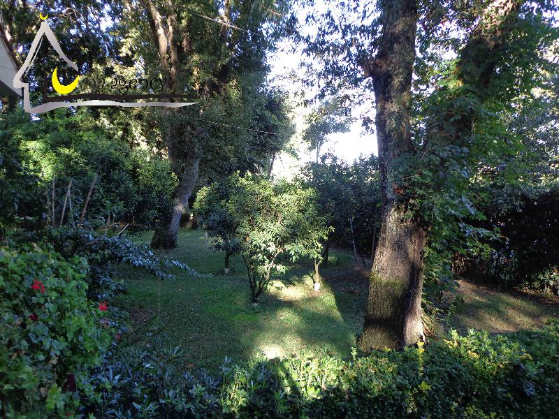 Villa via biancamano  - foto 7