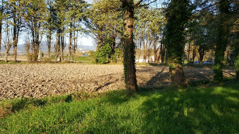 Casale  - foto 4