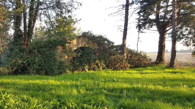 Casale  - foto 5
