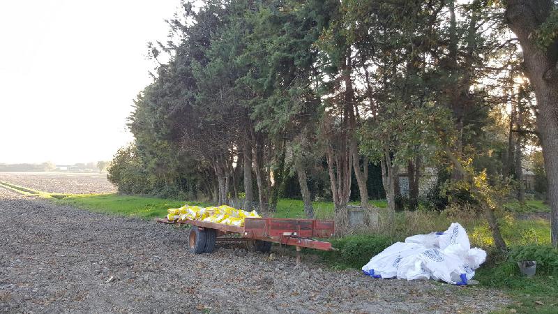 Casale  - foto 7