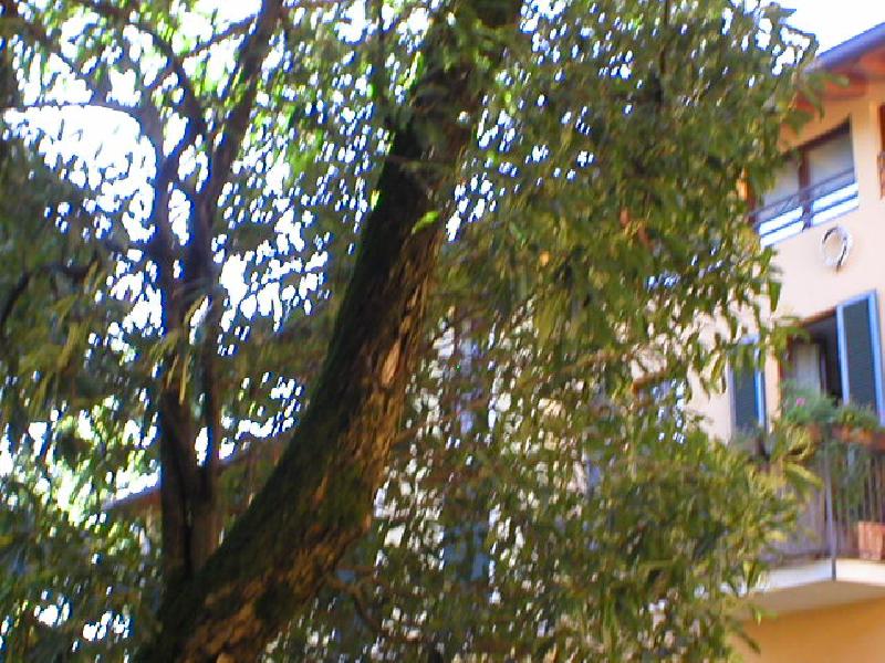 Attico via Nobili Martignoni, 10 CASTIGLIONE OLONA  - foto 2
