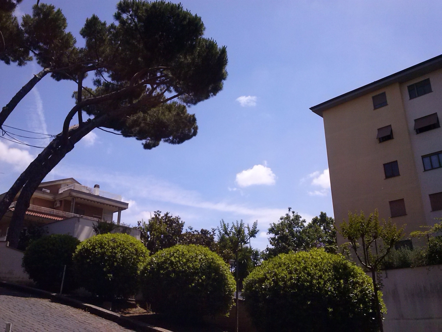 Appartamento Via Siro Corti  - foto 15