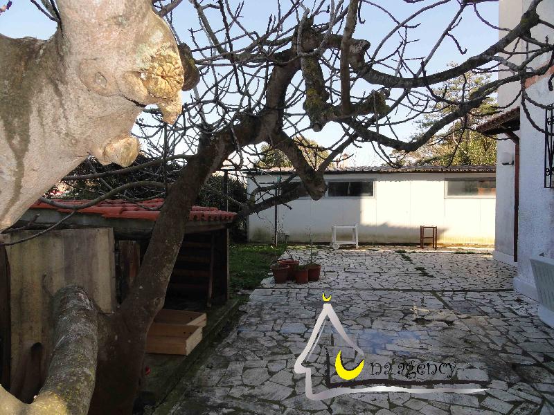 Villa via di Terracina  - foto 21