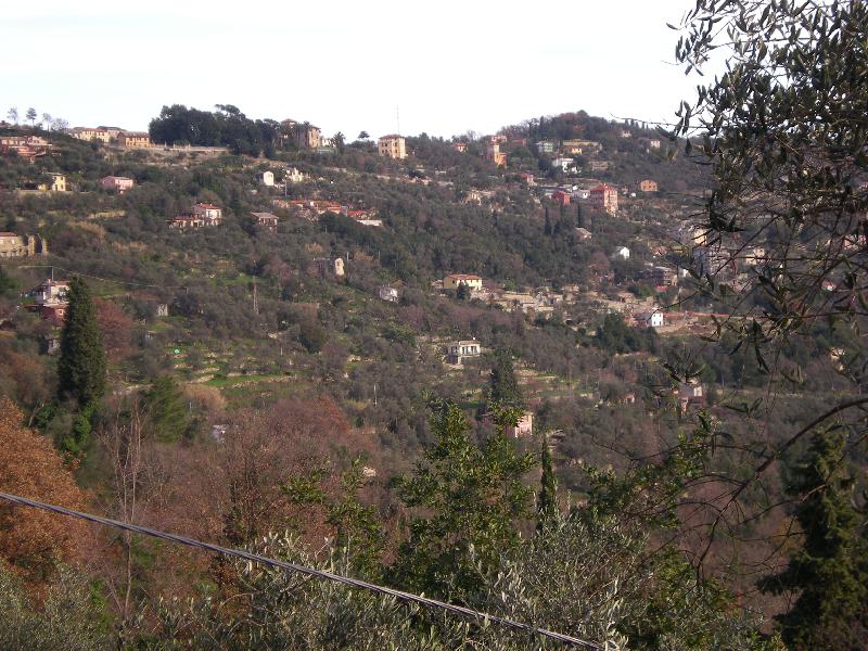 Casa singola  - foto 2