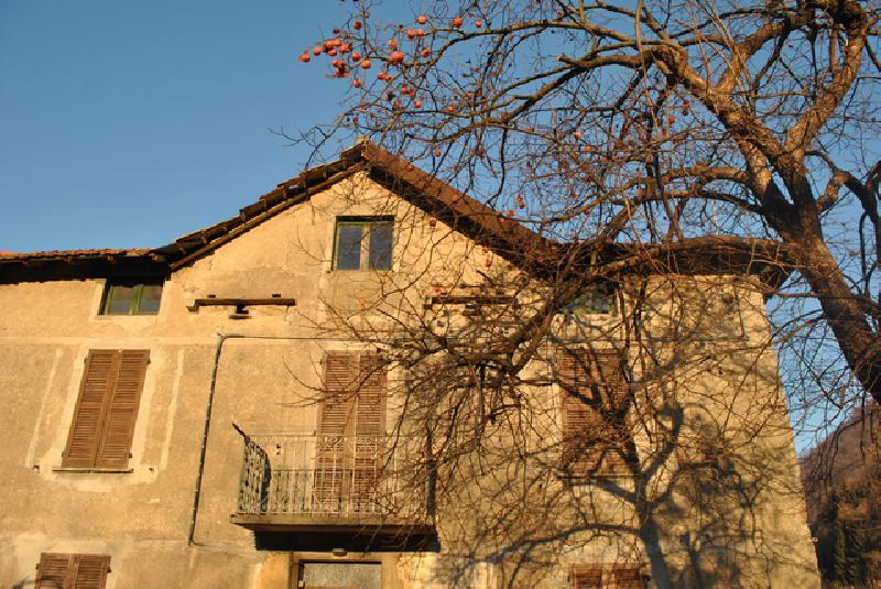 Casale, Torre de' Busi