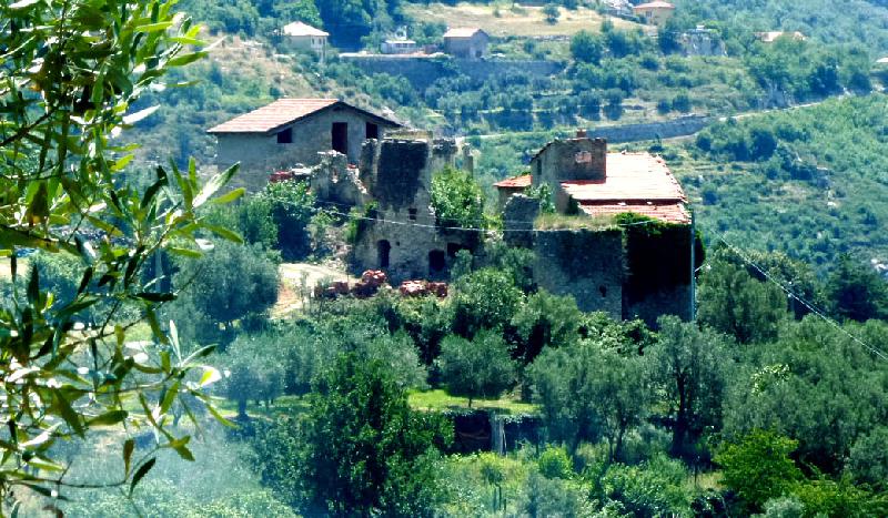 Rustico erli  - foto 2