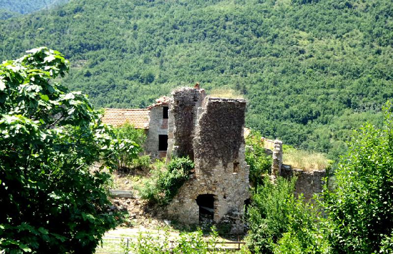 Rustico erli  - foto 3