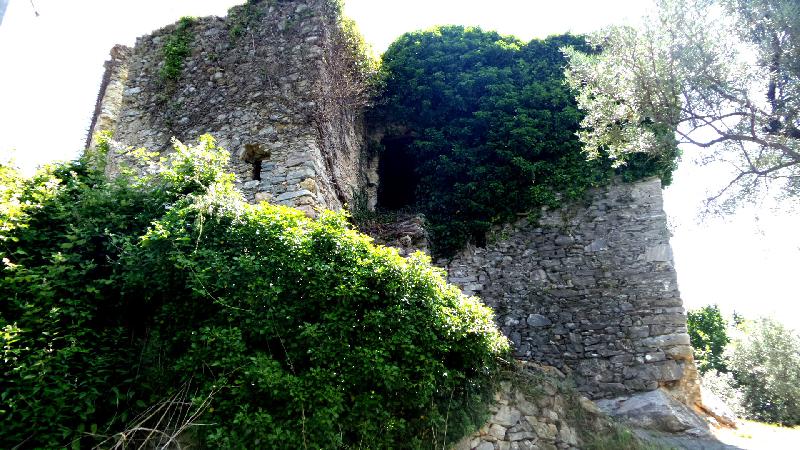 Rustico erli  - foto 5