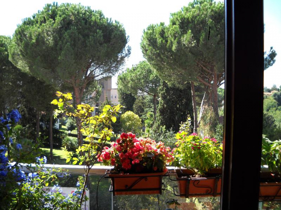 Appartamento Piazza Igea ad.  - foto 11