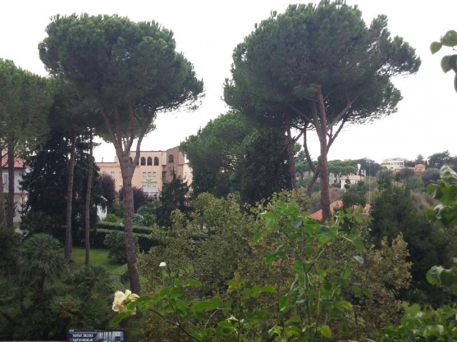 Appartamento Piazza Igea ad.  - foto 12