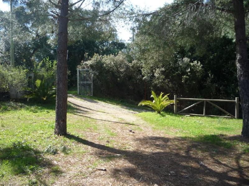 Villetta a schiera naregno  - foto 3
