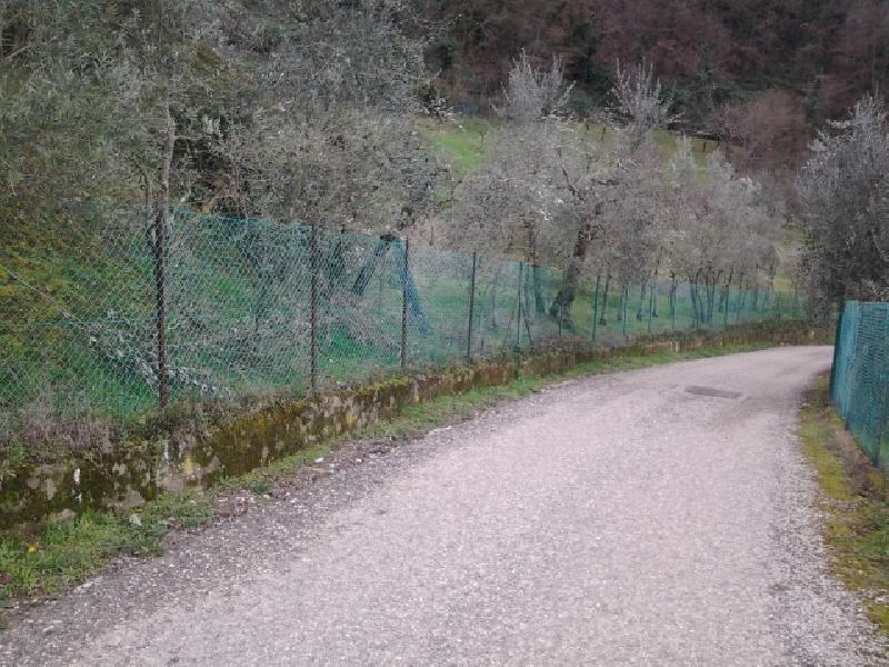 Villa bifamiliare  - foto 6