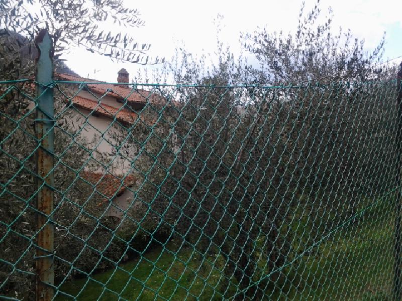 Villa bifamiliare  - foto 7