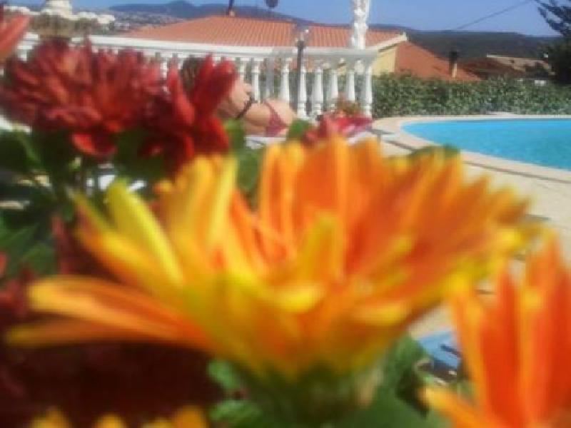 Appartamento via monti7 malamurì  - foto 18