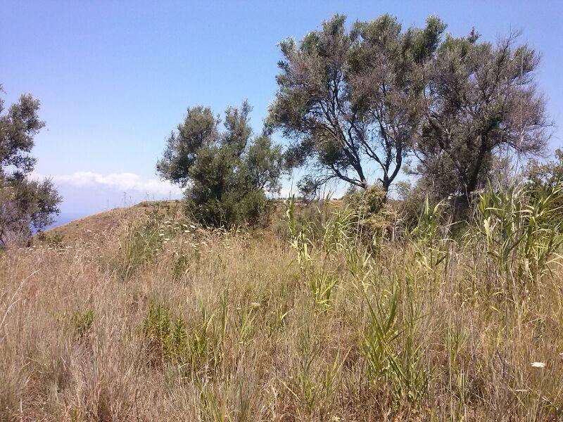 Terreno edificabile  - foto 3