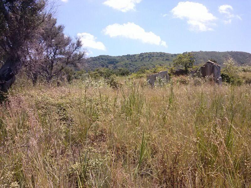 Terreno edificabile  - foto 5