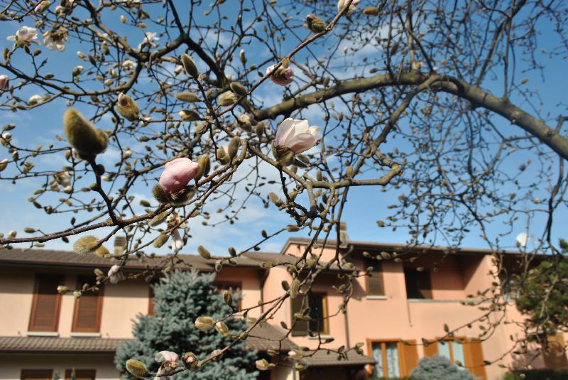Villetta a schiera vicolo vigneto  - foto 2