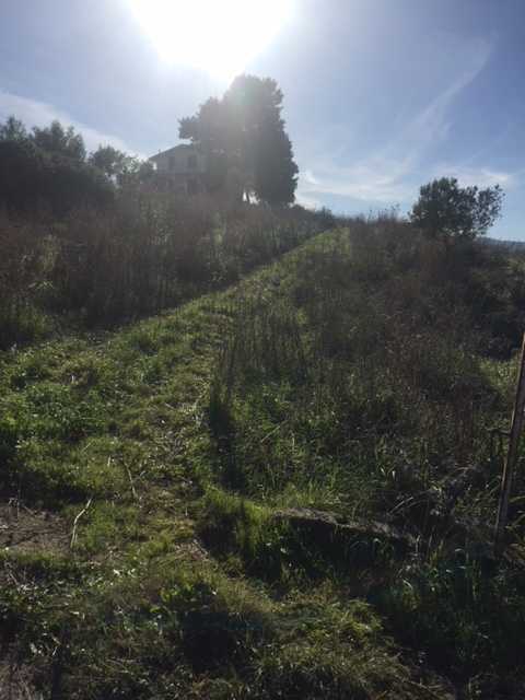  - foto 11