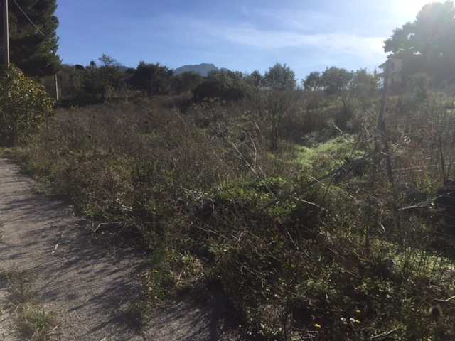  - foto 13