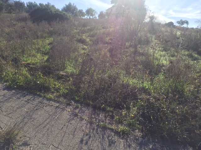  - foto 14