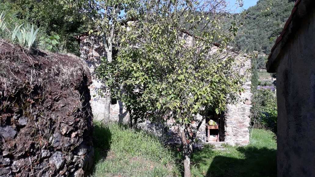 immagine annuncio 1 di 8